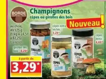 Champignons cèpes ou girolles des bois borde