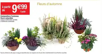 Cora x Carrefour Composition d'Automne Fleurs Naturelles offre
