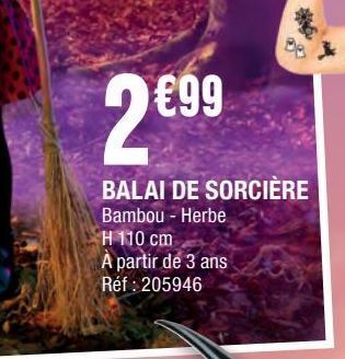 La Foir'Fouille Balai de sorciere offre
