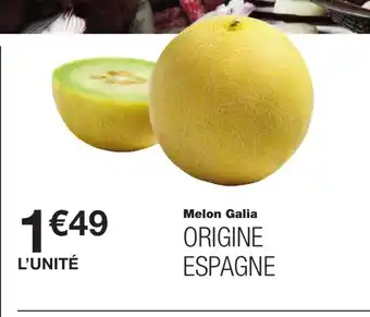 Melon Galis