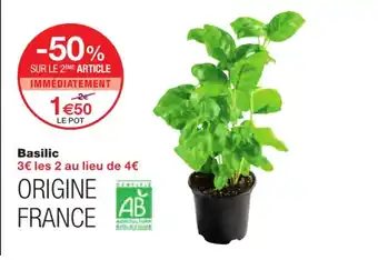 Monoprix Basilic offre