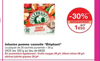 Monoprix Infusion pomme cannelle "éléphant" offre