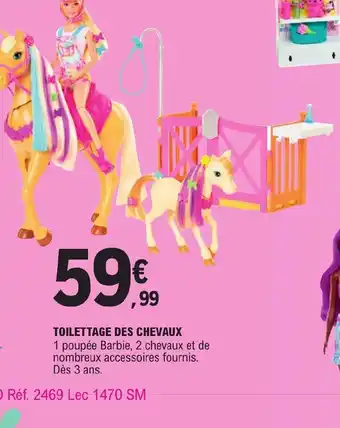 Toilettage Des Chevaux