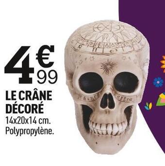 Centrakor Le crâne décoré offre