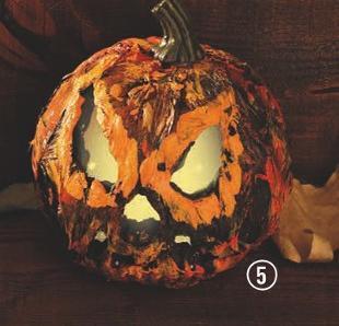 Centrakor La citrouille lumineuse offre