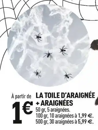 Centrakor La toile d’araignée + araignées offre