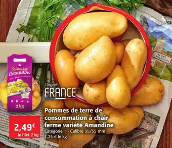 Colruyt Pommes De Terre De Consommation A Chair Ferme Variete Amandine offre
