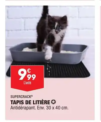 ALDI Tapis De Litiére offre