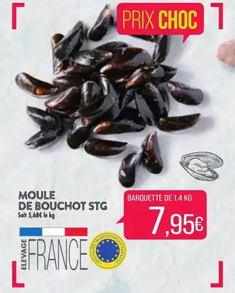 Match Moule De Bouchot STG offre