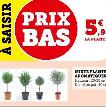 Super U Mixte plantes aromatiques offre