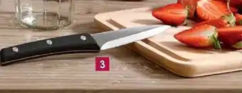Couteau office 10 cm