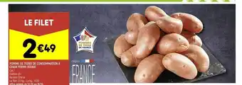 Pomme de terre de consommation à chair ferme rouge