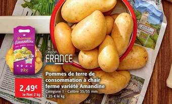 Pommes de terre de consommation à chair ferme variété amandine