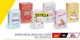 Gifi Boîte Métal Déco Au Choix 20x13x10cm offre