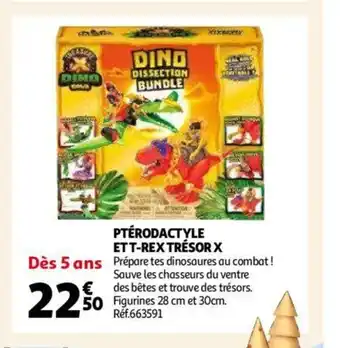 Auchan Ptérodactyle Et T-Rex Trésor X offre