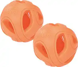 Maxi Zoo Jouets offre