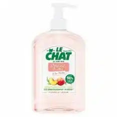 Auchan GEL LAVANT MAINS offre