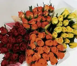 Géant Casino Bouquet 20 roses offre