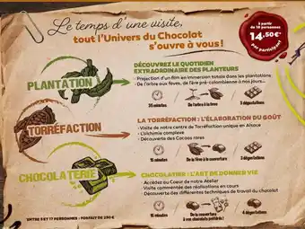 Plantation, torréfaction, chocolaterie