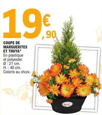 E.Leclerc Coupe de marguerites et thuya offre