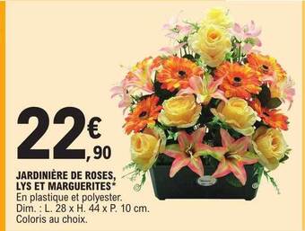 E.Leclerc Jardinière de roses, lys et marguerites offre
