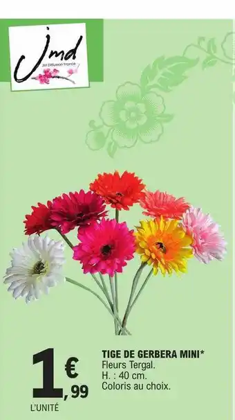 E.Leclerc Tige de gerbera mini offre