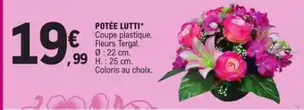 Potée lutti