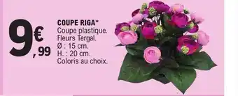 Coupe riga