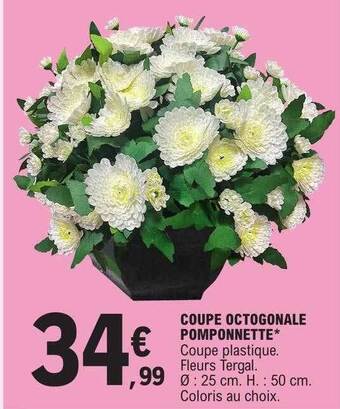 E.Leclerc Coupe octogonale pomponnette offre