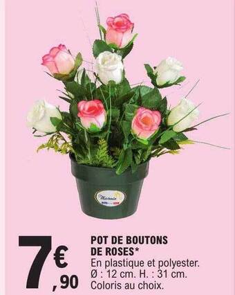 E.Leclerc Pot de boutons de roses offre