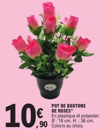 E.Leclerc Pot de boutons de roses offre