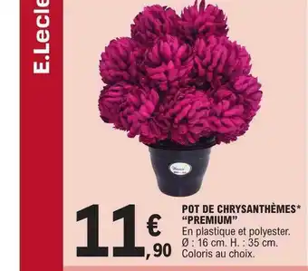 E.Leclerc Pot de chrysanthèmes offre