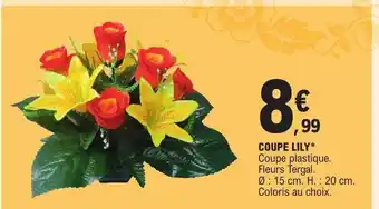 E.Leclerc Coupe lily offre