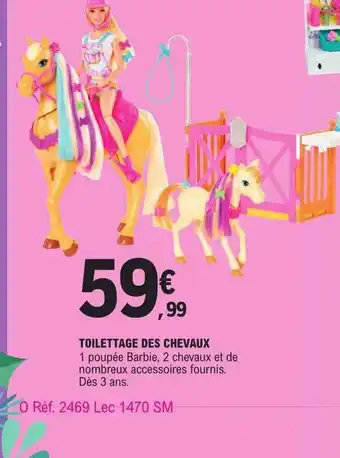 Toilettage des chevaux