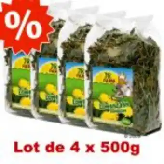 Lot jr farm pissenlits pour rongeur