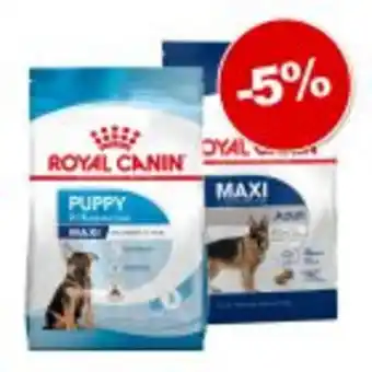 Zooplus Pack transition : croquettes royal canin size adult + chiot : 5 % de remise ! offre