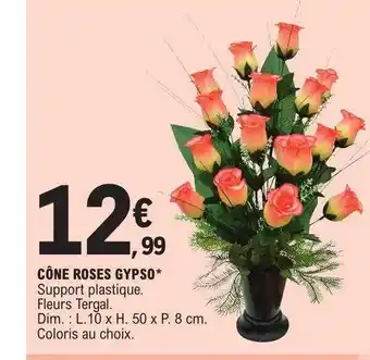 E.Leclerc Cône roses gypso offre