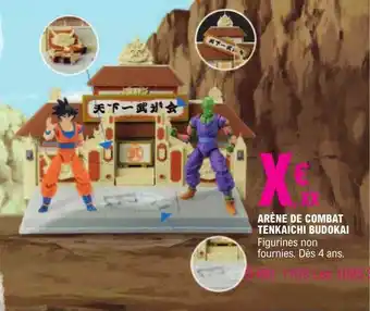 Arène de combat tenkaichi budokai