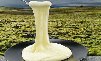 Aligot de l’Aubrac