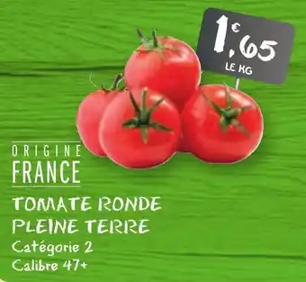 G20 Tomate ronde pleine terre offre