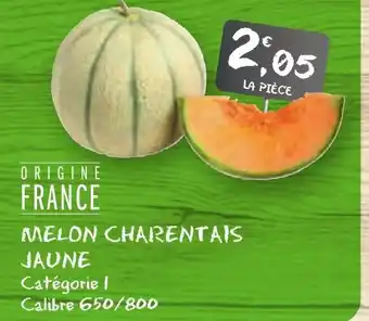 G20 Melon charentais jaune offre