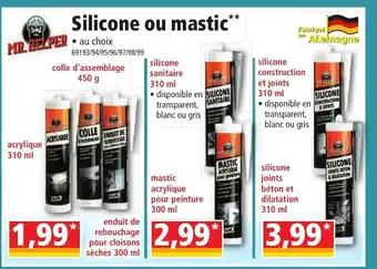 Silicone Ou Mastic
