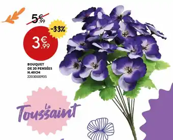 Maxi Bazar Bouquet de 20 pensées h. 40 cm offre