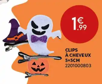 Maxi Bazar Clips à cheveux 5x5 cm offre