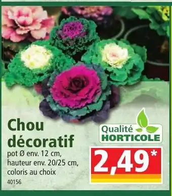 Chou Decoratif