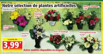 Norma Notre Sélection de Plantes Artificielles offre