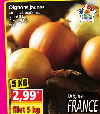 Norma Oignons Jaunes offre