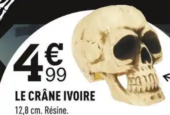 Le crâne ivoire