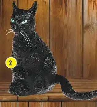 Centrakor Le chat noir offre