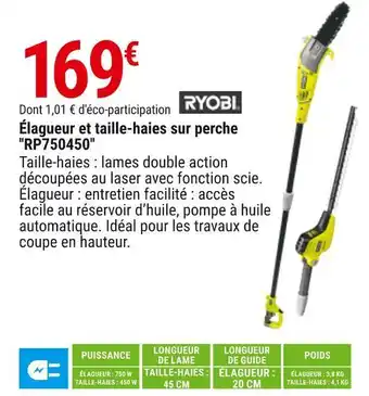 Ryobi élagueur et taille-haies sur perche ''rp750450''